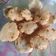 Cooksnap dari Kimmy untuk resep Cireng Simple