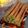 Cooksnap de Gumus Dino Food sur la recette Cigares aux amandes