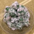 Cooksnap dari Pramudita Nur Rahma untuk resep Klepon Ubi Ungu