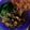 Cooksnap dari Novia's Kitchen untuk resep Ayam kecap toping mie ayam