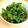 Silvia's cooksnap of when they made Kale Chips.