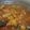 Cooksnap dari febriana ferarina untuk resep Ayam Rica Kemangi
