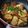 Cooksnap dari Ika Sp untuk resep Ayam Kecap Saos Tiram