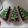 El cooksnap de Yrina Sandes cuando hizo Brownies navideños.