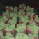 Cooksnap dari yulia rajendra untuk resep Bolu kukus mekar adem sari