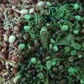 Cooksnap dari Desta Kristanti untuk resep Teri Kacang Kriuk