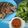 Cooksnap dari Wilda F Hasibuan untuk resep Ayam Bakar Taliwang Khas Lombok dan Sambal Jeruk by Kenyangan