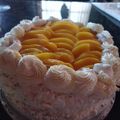 El cooksnap de Jessica cuando hizo Torta de cumple Chajá.