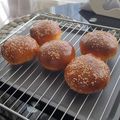 kékördög Cooksnap-ja, amikor elkészítette a(z) A tökéletes hamburger zsemle receptet.