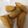 Cooksnap Uma Sarra semasa beliau membuat Kulit karipap rangup.
