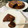 El cooksnap de Beatriz cantero jimenez cuando hizo Bizcocho KETO de avellana y chocolate.