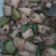 Cooksnap dari titik retnowati untuk resep Cumi Asin Cabe Ijo