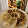 Cooksnap dari Shitta Amalia untuk resep Beef Gyoza
