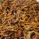 Cooksnap Julia ALeen Aireish semasa beliau membuat Mee goreng daging.