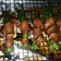 monicasqueen's cooksnap of when they made Bacon wrapped Asparagus.