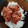 El cooksnap de Efua Navarro cuando hizo Arroz con carne picada.