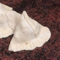 Dr Faiza Khan's cooksnap of when they made Alu ka samosa.