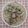 Cooksnap dari Mamawok untuk resep Ayam Saus Jamur (Chicken With Creamy Mushroom Sauce)