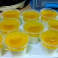 Cooksnap dari khusnul khotimah untuk resep Puding Sutra Nutrijel Jeruk