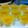 Cooksnap dari khusnul khotimah untuk resep Puding Sutra Nutrijel Jeruk