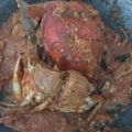 Cooksnap dari antari puspita untuk resep Kepiting Saus Padang ala Resto