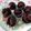 Cooksnap dari Deis Daraswati untuk resep Bolu Kukus Coklat Eggless Lembut