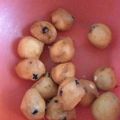 El cooksnap de Marcela noemi Diaz cuando hizo Buñuelos dulces sin tacc (receta rápida).
