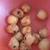 El cooksnap de Marcela noemi Diaz cuando hizo Buñuelos dulces sin tacc (receta rápida).