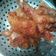 Cooksnap dari Anggih Rebecca untuk resep Ayam goreng ketumbar