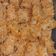 Cooksnap dari Riswahyuni untuk resep Nugget Ayam Wortel