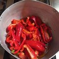 El cooksnap de Marta Susana Bruno cuando hizo Morrones en aceite.