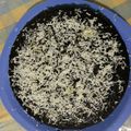 Cooksnap dari Novita Bun untuk resep Brownies Coklat Kukus tanpa Mixer