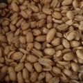 Cooksnap dari Mymy Dita untuk resep Kacang Tojin Renyah | Khas Minang
