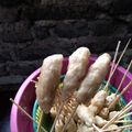 Cooksnap dari Fitri Astuti untuk resep Sempol ayam