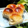 Cooksnap dari Dini nurhasanah untuk resep Roti manis roti sobek