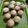 Cooksnap dari anggraininovi untuk resep Muffin wortel keju