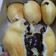 Cooksnap dari Store Batik Solo untuk resep Donat Maizena Menul