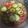 Angela's cooksnap of when they made Tomato, cucumber and onion salad.