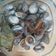 Cooksnap dari Didi Suryakto untuk resep Kerang Dara Rebus
