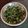 Meenakshi Ramesh's cooksnap of when they made முருங்கை கீரை பொரியல்.