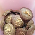 Cooksnap dari Widyaranisetyap untuk resep Milo cookies #prRamadhan_kukirainikukis