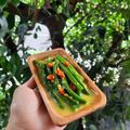 Cooksnap dari Sofie Hana untuk resep Plecing Kacang Panjang