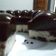 Cooksnap dari Iyan untuk resep Puding Oreo Lapis Coklat