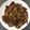 Add me on my new account Noora Cookpad's cooksnap of when they made Mongolian beef.