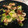 El cooksnap de Nuria cuando hizo Chipirones a la plancha con salsa verde.