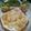 Vandana Johri का कुकस्नैप जब उन्होंने पानी-पूरी मुम्बई स्टाइल में (Pani puri mumbai style me recipe in बनाया था।