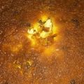 El cooksnap de Gabriela Juarez cuando hizo Postre Budín de pan rico y fácil.