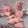 Cooksnap dari DiYos Nie untuk resep Sakura Dragonfruit Cookies (Gluten-free) MPASI 1th+