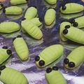 Cooksnap dari Oktaviana Ciuriajaya untuk resep Kue kering ulat daun