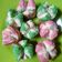Cooksnap dari Marisa_wie untuk resep Bolu kukus mekar
